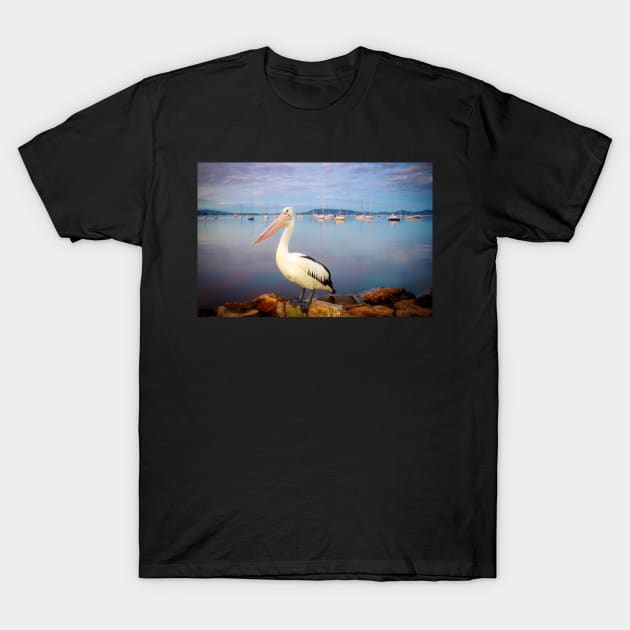 Pelican portrait T-Shirt by dags